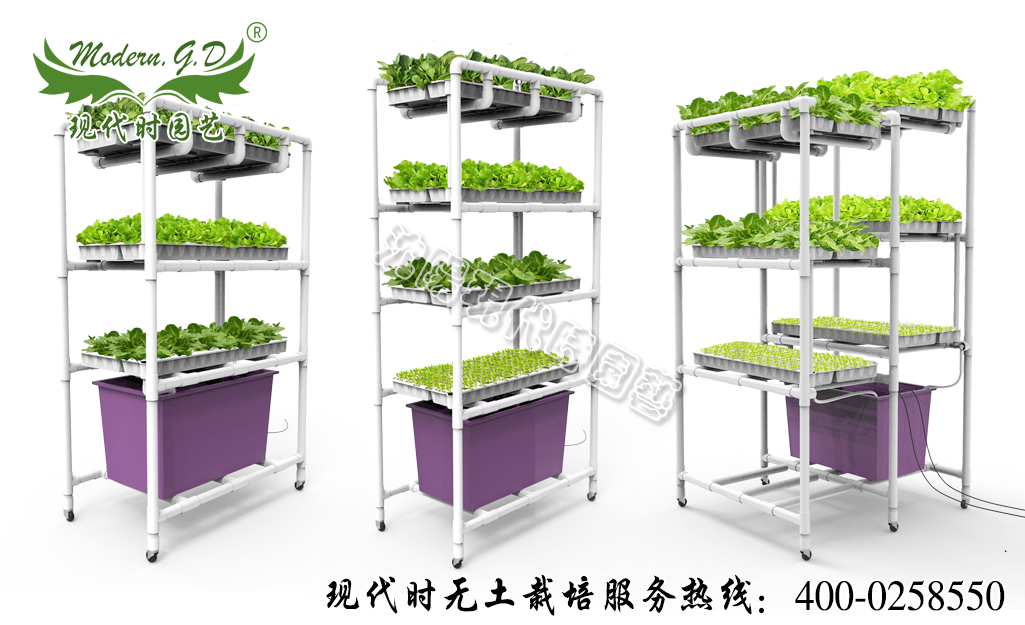 �Ƅ�ˮ��Nֲ�C ��̖��N-37